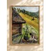 “Shepherd’s Lunch. Life in the Carpathians” – Original Painting by Marina Stognieva